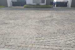WhatsApp-Image-2026-02-04-at-11.39.22-AM-chd